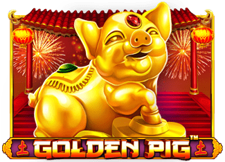 Golden Pig